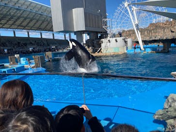 名古屋港水族館に投稿された画像（2023/11/25）