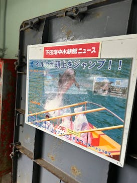 下田海中水族館に投稿された画像（2023/11/25）