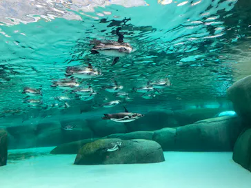 天王寺動物園に投稿された画像（2023/11/25）