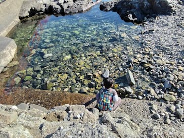 串本海中公園水族館に投稿された画像（2023/11/25）