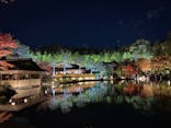 国営昭和記念公園 秋の夜散歩に投稿された画像（2023/11/25）