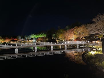 国営昭和記念公園 秋の夜散歩に投稿された画像（2023/11/25）