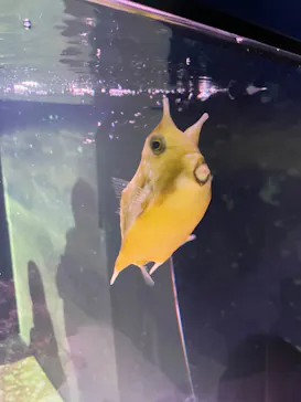 マクセル アクアパーク品川に投稿された画像（2023/11/25）