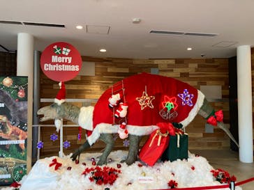 福井県立恐竜博物館に投稿された画像（2023/11/25）