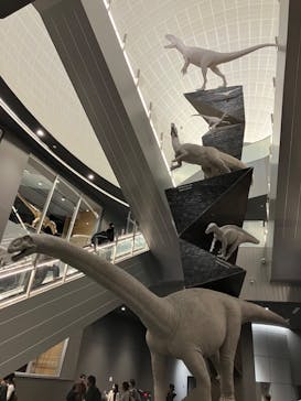 福井県立恐竜博物館に投稿された画像（2023/11/25）