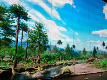 福井県立恐竜博物館に投稿された画像（2023/11/25）