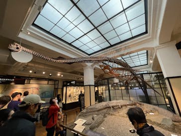 国立科学博物館に投稿された画像（2023/11/25）