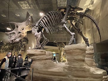 国立科学博物館に投稿された画像（2023/11/25）