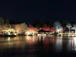 国営昭和記念公園 秋の夜散歩に投稿された画像（2023/11/25）