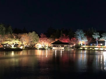 国営昭和記念公園 秋の夜散歩に投稿された画像（2023/11/25）