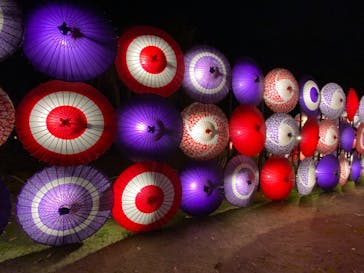 国営昭和記念公園 秋の夜散歩に投稿された画像（2023/11/25）