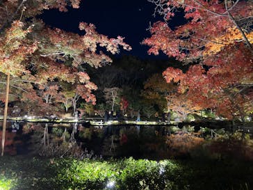 国営昭和記念公園 秋の夜散歩に投稿された画像（2023/11/25）