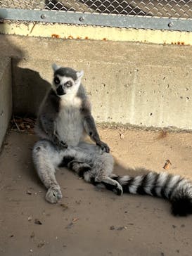 東武動物公園に投稿された画像（2023/11/25）