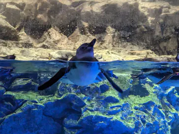 すみだ水族館に投稿された画像（2023/11/25）