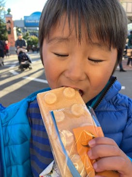 レゴランドⓇ・ジャパン・リゾートに投稿された画像（2023/11/25）