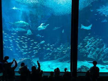 マリンワールド海の中道に投稿された画像（2023/11/25）