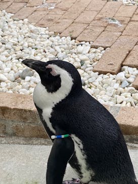 マリンワールド海の中道に投稿された画像（2023/11/25）