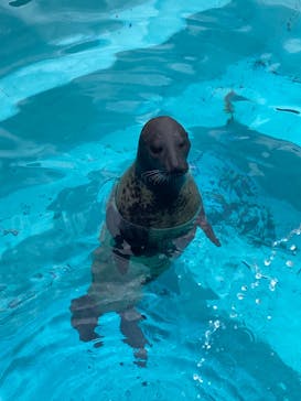 マリンワールド海の中道に投稿された画像（2023/11/25）