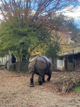 名古屋市東山動植物園に投稿された画像（2023/11/25）