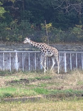 名古屋市東山動植物園に投稿された画像（2023/11/25）