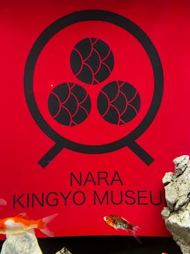 NARA KINGYO MUSEUMに投稿された画像（2023/11/25）