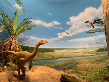 福井県立恐竜博物館に投稿された画像（2023/11/25）