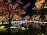 国営昭和記念公園 秋の夜散歩に投稿された画像（2023/11/25）