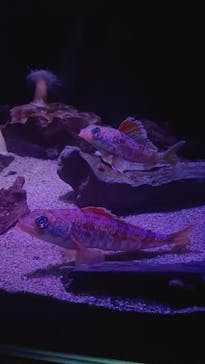 名古屋港水族館に投稿された画像（2023/11/25）