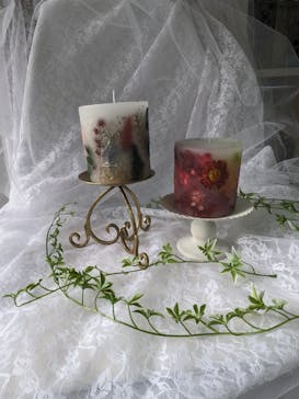 ずこうしつ〜sugamo〜に投稿された画像（2023/11/25）