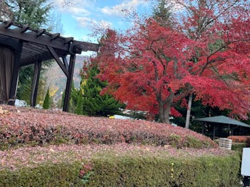 アトリエアートに投稿された画像（2023/11/25）