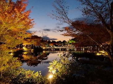 国営昭和記念公園 秋の夜散歩に投稿された画像（2023/11/25）