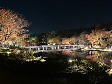 国営昭和記念公園 秋の夜散歩に投稿された画像（2023/11/25）
