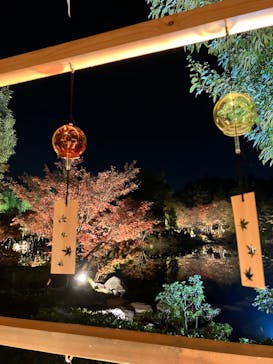 国営昭和記念公園 秋の夜散歩に投稿された画像（2023/11/25）