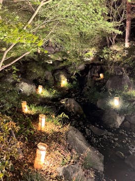 国営昭和記念公園 秋の夜散歩に投稿された画像（2023/11/25）