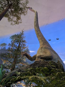 福井県立恐竜博物館に投稿された画像（2023/11/25）