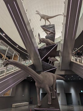 福井県立恐竜博物館に投稿された画像（2023/11/25）