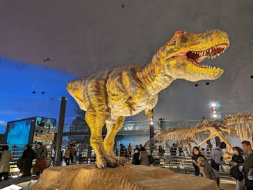 福井県立恐竜博物館に投稿された画像（2023/11/25）