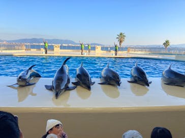 マリンワールド海の中道に投稿された画像（2023/11/25）