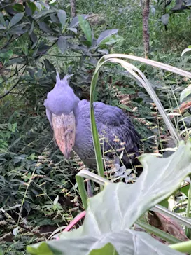 神戸どうぶつ王国に投稿された画像（2023/11/25）