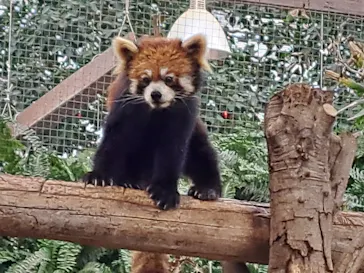 神戸どうぶつ王国に投稿された画像（2023/11/25）