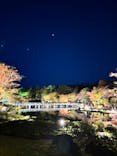 国営昭和記念公園 秋の夜散歩に投稿された画像（2023/11/25）