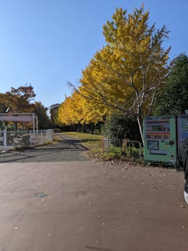 東武動物公園に投稿された画像（2023/11/25）