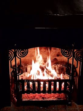 江戸東京たてもの園に投稿された画像（2023/11/25）