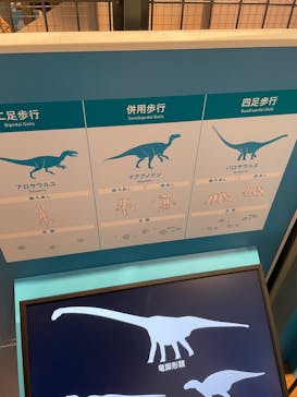 福井県立恐竜博物館に投稿された画像（2023/11/25）