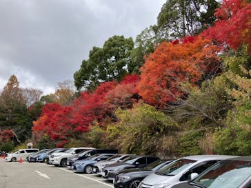 有馬温泉 太閤の湯に投稿された画像（2023/11/25）