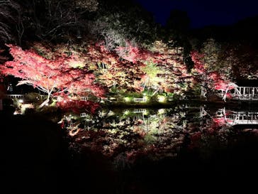 名古屋市東山動植物園に投稿された画像（2023/11/25）