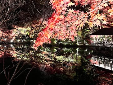 名古屋市東山動植物園に投稿された画像（2023/11/25）