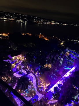 江の島シーキャンドルに投稿された画像（2023/11/25）