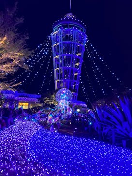 江の島シーキャンドルに投稿された画像（2023/11/25）