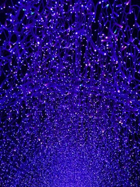 江の島シーキャンドルに投稿された画像（2023/11/25）